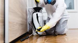 Professional Pest control in Amity, OR